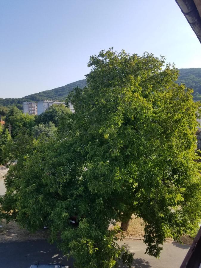 Malko Tŭrnovo Retro Apartment מראה חיצוני תמונה